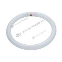 KRUŽNA FLUO CEV G10Q 32W 6400K fi 30cm ELF053 HL T9