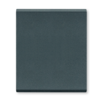 Taster za sklopku dvostruki ANTRACIT 6581.A Aling Mode