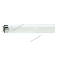 FLUO CEV TL-D 18W/54-765 G13 6200K 604mm Philips