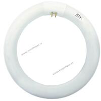 KRUZNA FLUO CEV TL-E 40W/54 6400K G10q fi393x341x29mm ELF054